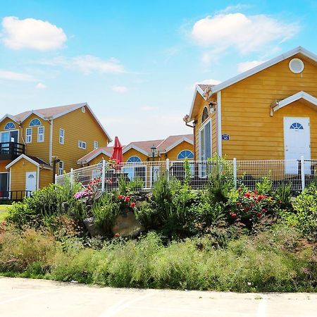 Healing House Villa Seogwipo Ngoại thất bức ảnh
