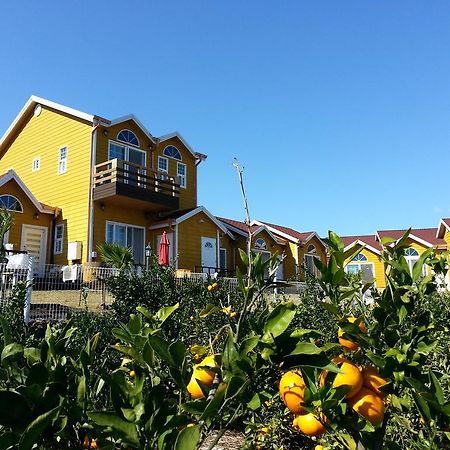Healing House Villa Seogwipo Ngoại thất bức ảnh