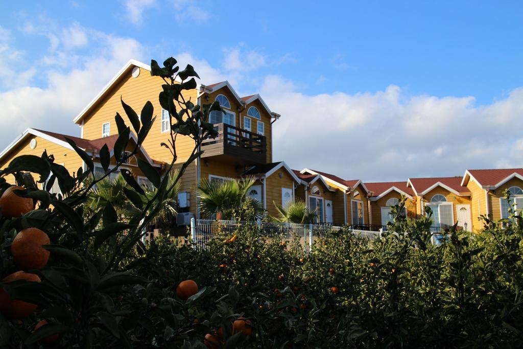 Healing House Villa Seogwipo Ngoại thất bức ảnh