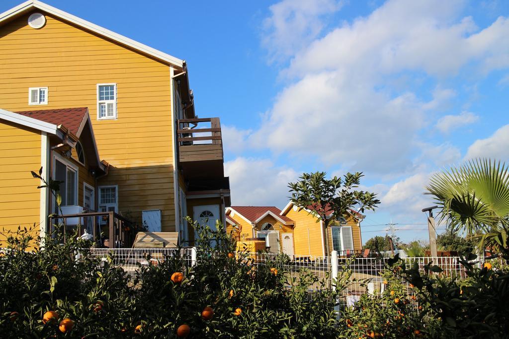 Healing House Villa Seogwipo Ngoại thất bức ảnh
