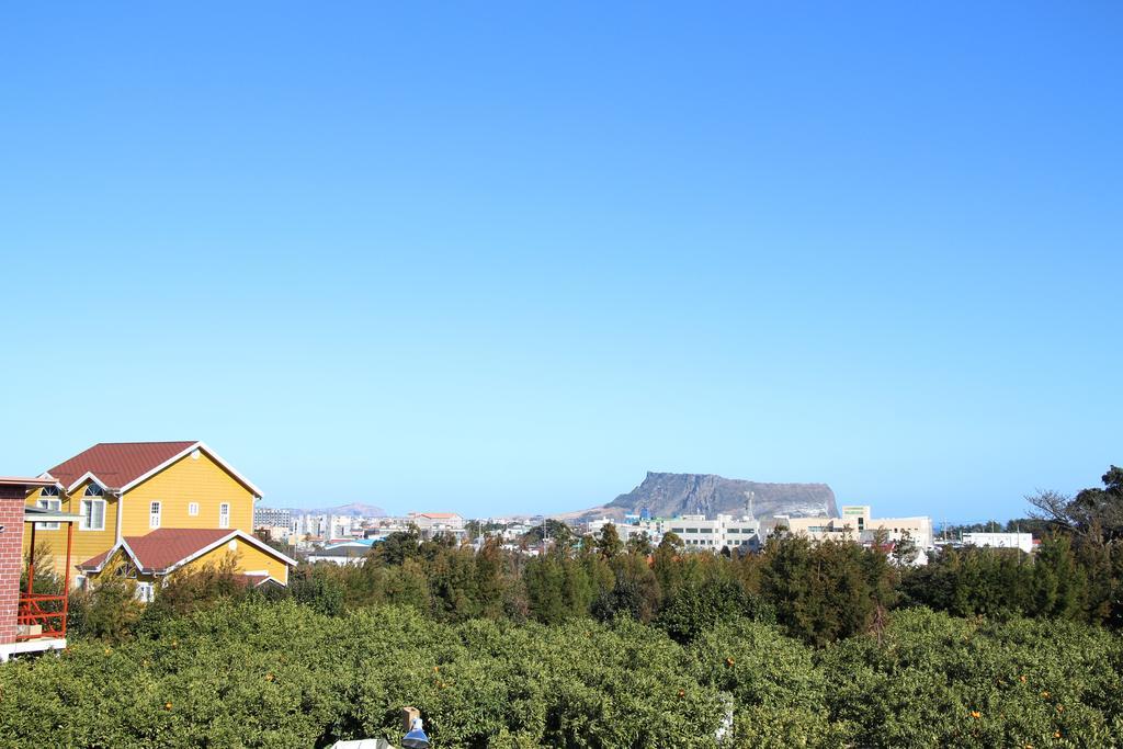 Healing House Villa Seogwipo Ngoại thất bức ảnh