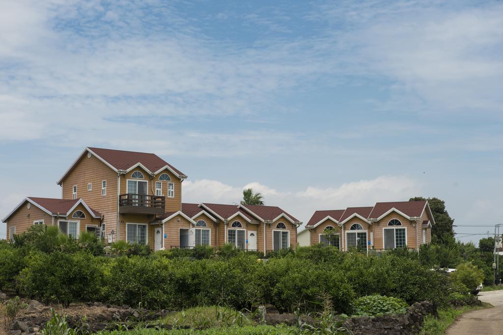Healing House Villa Seogwipo Ngoại thất bức ảnh