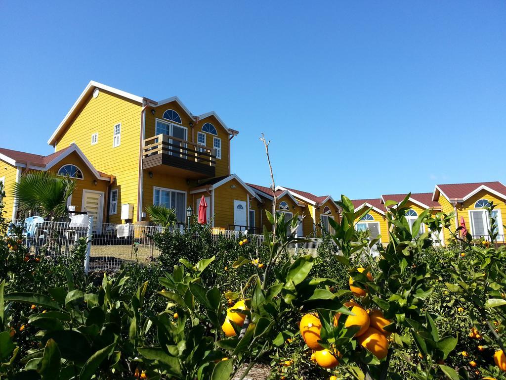 Healing House Villa Seogwipo Ngoại thất bức ảnh